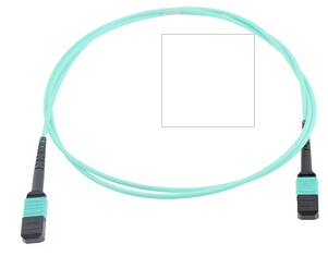 Fiberer MPO/MTP Patchcord Cable Assemblies 